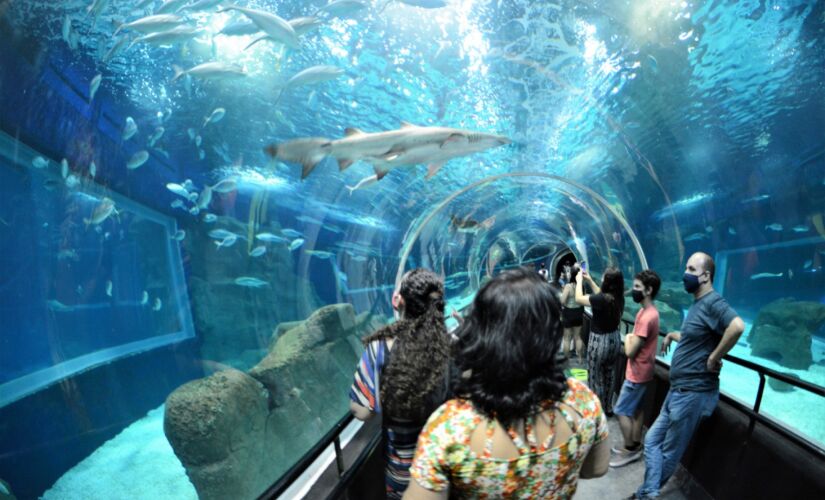 AQUÁRIO.  Uma das mais novas atrações do Rio volta com suas 8 mil espécies de animais marinhos. O AquaRio funciona todos os dias, e o ingresso custa 
R$ 49 (no site).