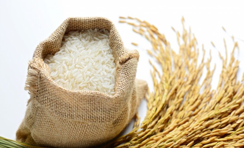 Arroz fundo branco 