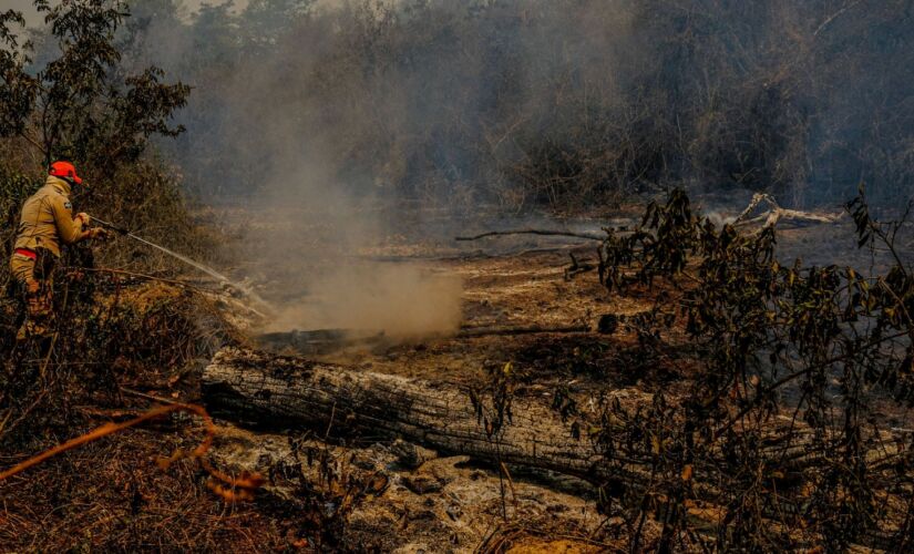 No Pantanal, foram contabilizados 2.550 focos de queimadas em dez dias de setembro, número equivalente a 88% do volume registrado durante os 30 dias de setembro de 2019