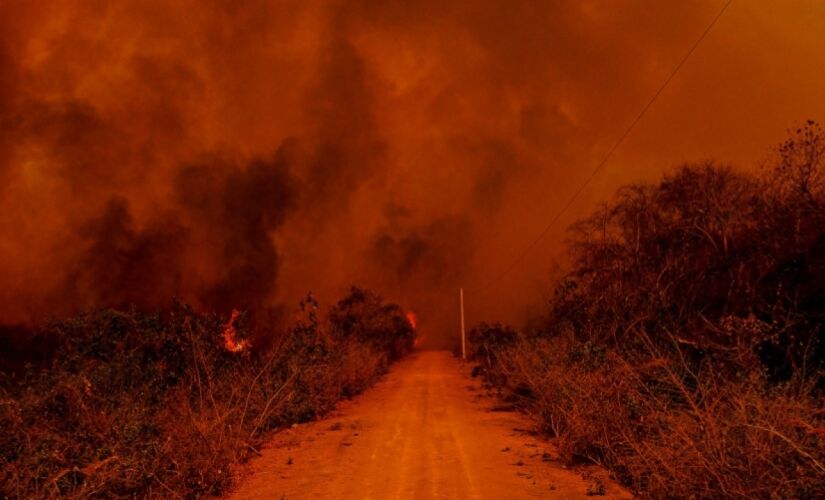 Segundo dados do Centro Nacional de Monitoramento e Alertas de Desastres Naturais (Cemaden), 92% das pequenas propriedades do Pantanal tiveram mais de 80% da área devastada pelo fogo