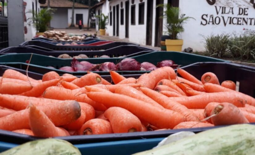 Entre os produtos, estão verduras, legumes e frutas, além de alimentos derivados de leite e de soja