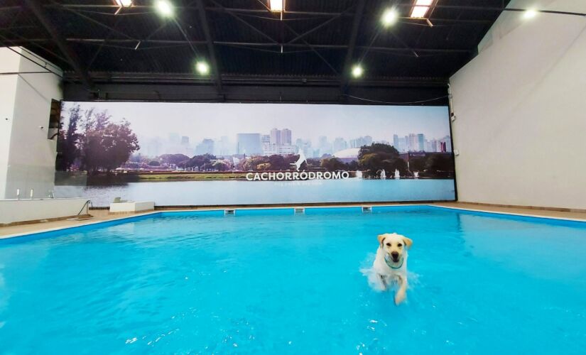 O parque, cercado e monitorado, contar&aacute; com uma piscina de 120 m&sup2;,a maior piscina pet indoor do mundo, petshop, &aacute;rea de grooming (uma t&eacute;cnica de tosa, est&eacute;tica e beleza animal), espa&ccedil;o de secagem e playground