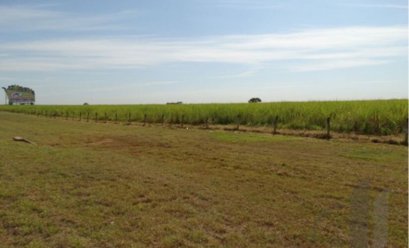 Proposta prevê de conversão de 40 milhões de hectares de pastagens degradadas para a produção sustentável de alimentos 