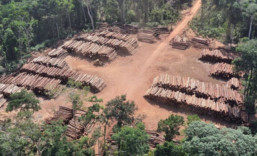 Em 2022, segundo o Imazon, o desmatamento de áreas protegidas da região chegou a 1.431 km&#xB2;