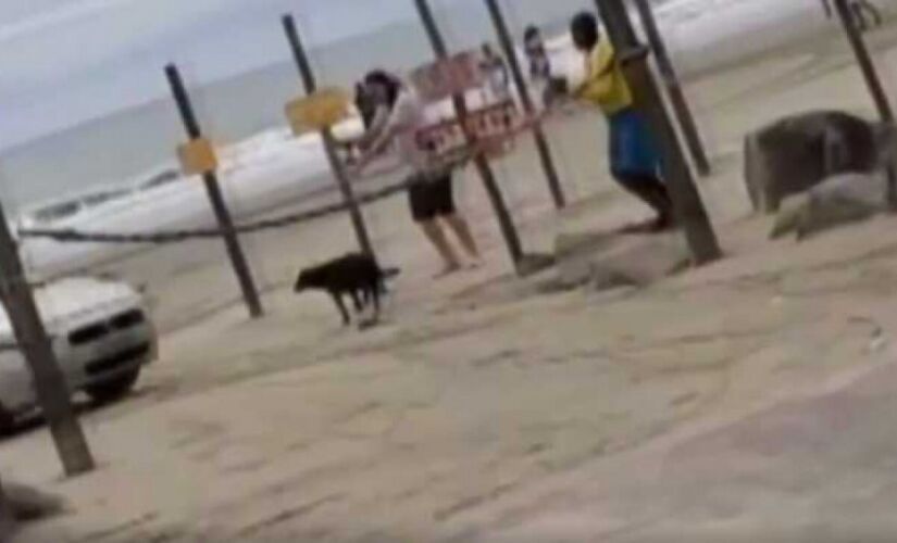 Mulher avança com carro para cima de agressor e quase atropela um cachorro