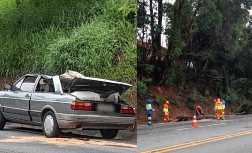 Homem morreu ao ser atingido por tronco que caiu sobre o carro na Rodovia Raposo Tavares 