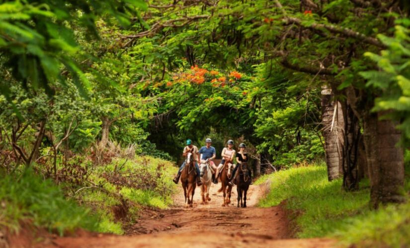 Santa Clara Eco Resort fica em Dourado