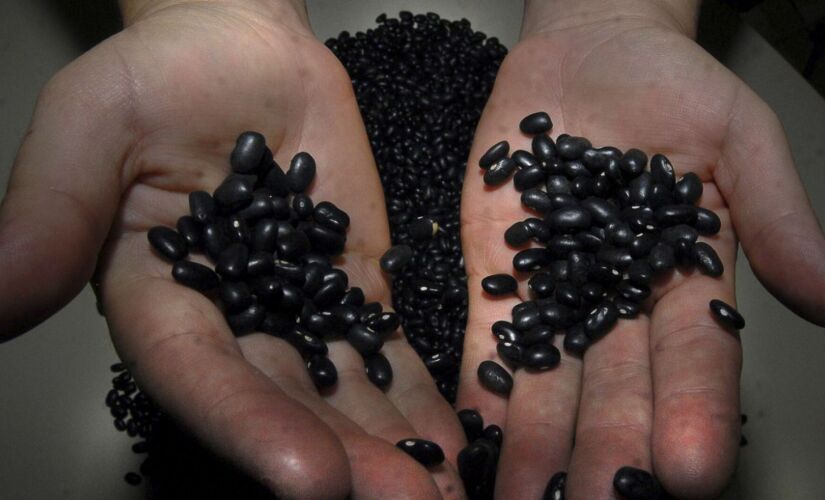 O grão deixou de ser a ‘alegria do povão’ e o Brasil já não colhe nem o suficiente para garantir nossa feijoada