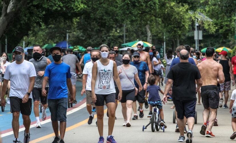 Desde a permissão da reabertura dos parques, o mais visitado é o Parque Ibirapuera, com 3,6 milhões 