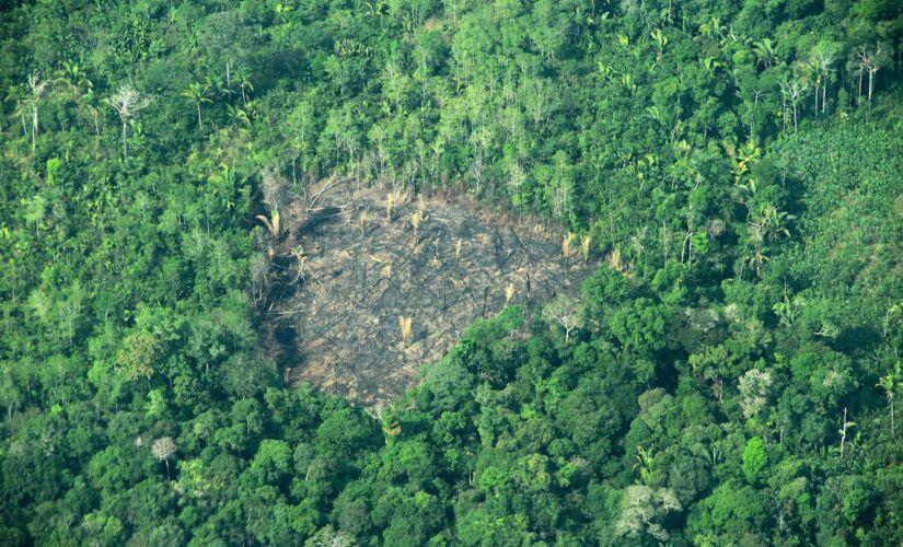 Diante de aumento de queimadas na Amaz&ocirc;nia,