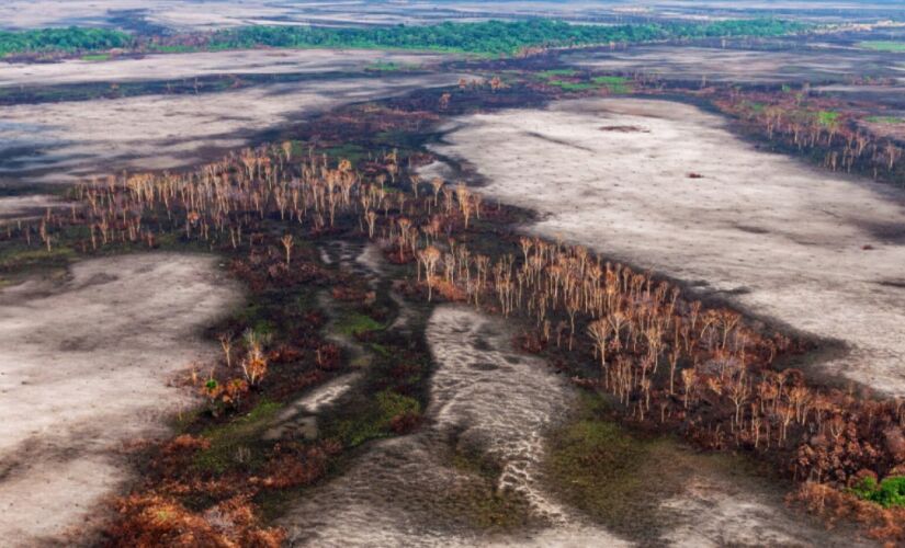 O fogo é usado para queimar a vegetação derrubada -e que foi deixada secando- e para limpar pastos