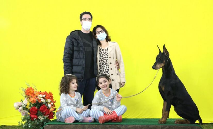 Estudos mostram que os cães e gatos ajudam na saúde dos humanos 