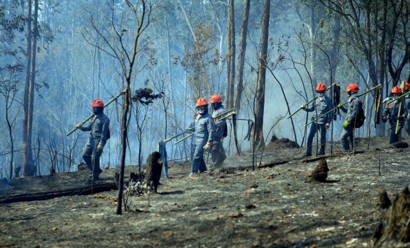 Combate ao incêndio no Parque Juquery chega ao terceiro dia; queda de balão teria iniciado o fogo.    ESTADO/A3