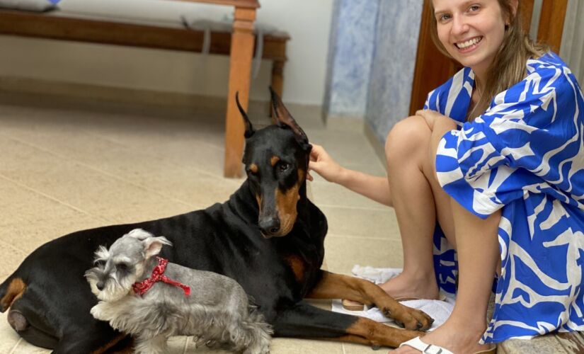 Convivência de humanos com seus pets aumentou na pandemia 