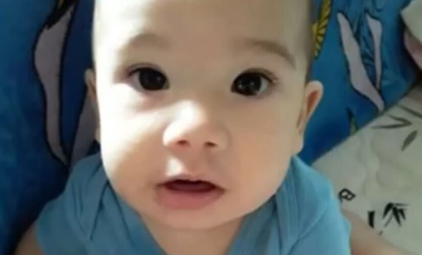 Motorista invadiu ponto de ônibus e matou criança e bebê em Campo Limpo Paulista, no Interior 