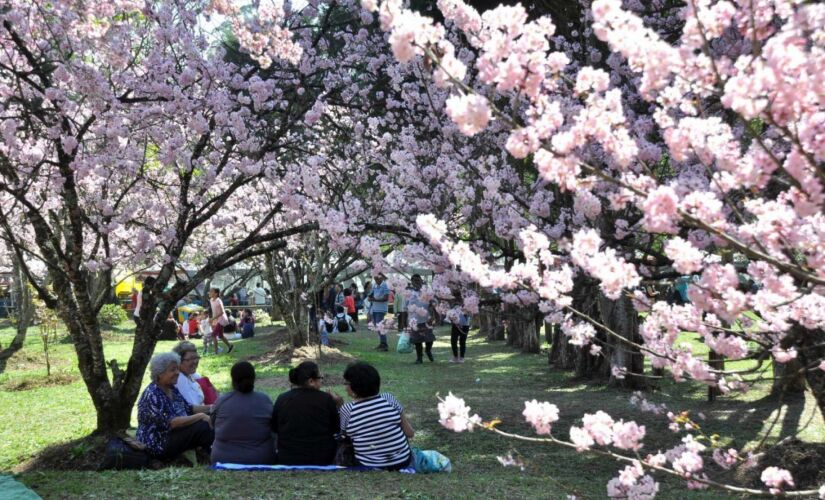 A tend&ecirc;ncia para os pr&oacute;ximos dias at&eacute; o feriado de Finados, na ter&ccedil;a-feira (2), &eacute; que o tempo siga inst&aacute;vel com muita nebulosidade