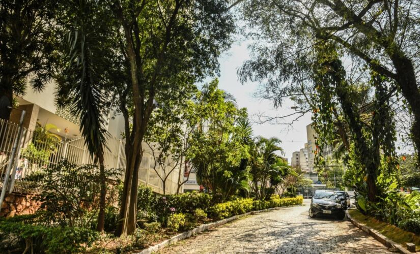 Estado de São Paulo mantém cerca de um terço de sua área total coberta por Mata Atlântica