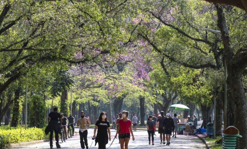 Parque Ibirapuera em SP