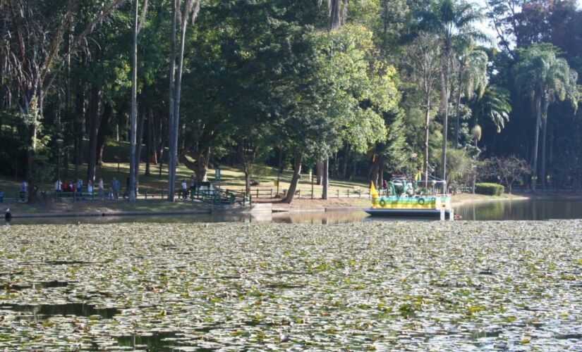 Parque Alberto Löfgren  Horto Florestal 