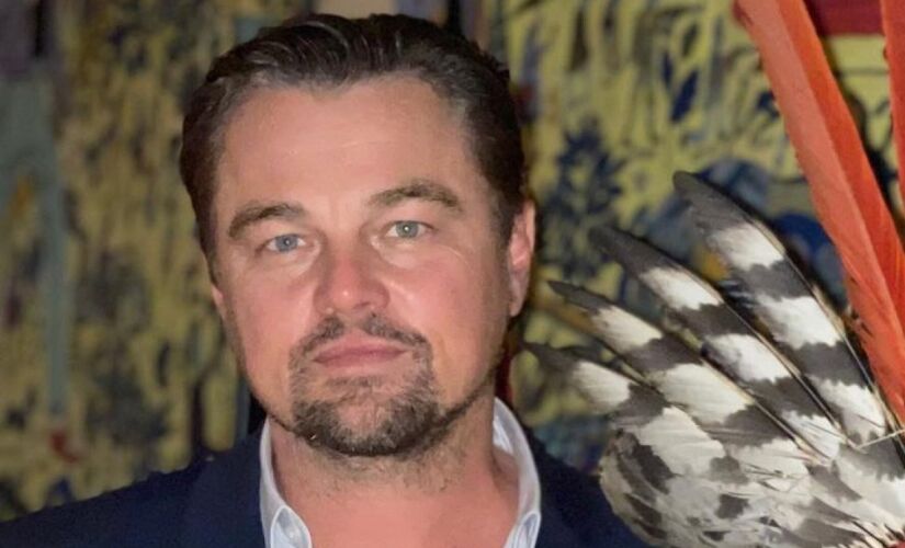 Leonardo de Caprio