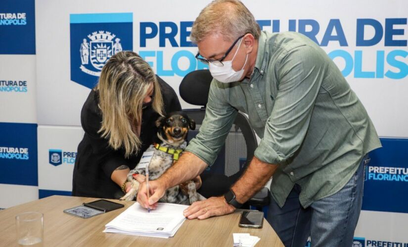 'Many' é a primeira cachorra a participar da assinatura de um projeto de lei em Florianópolis 
