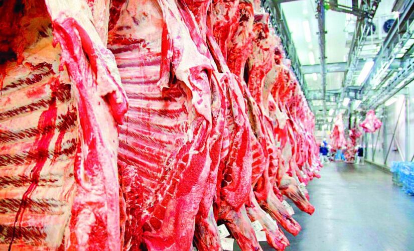 Negacionismo clim&aacute;tico derrubou exporta&ccedil;&atilde;o de carne em 43%