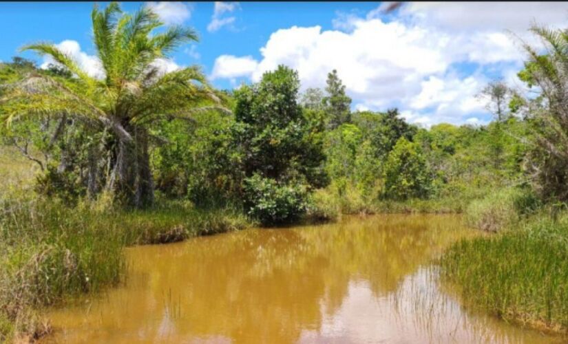 Fazenda em Camaçari, na Bahia, é o lote com o maior lance inicial 