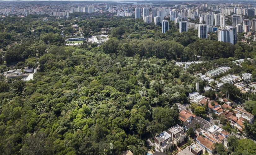 Vista da mata do Jardim Alfomares, remanescente de mata atlântica, na cidade de São Paulo (arquivo)