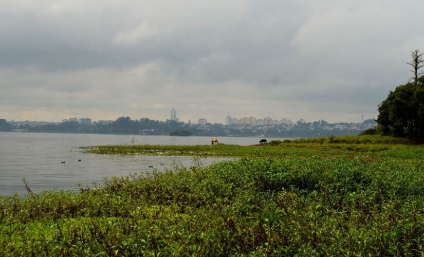 Ação conta com apoio da Polícia Militar Ambiental
