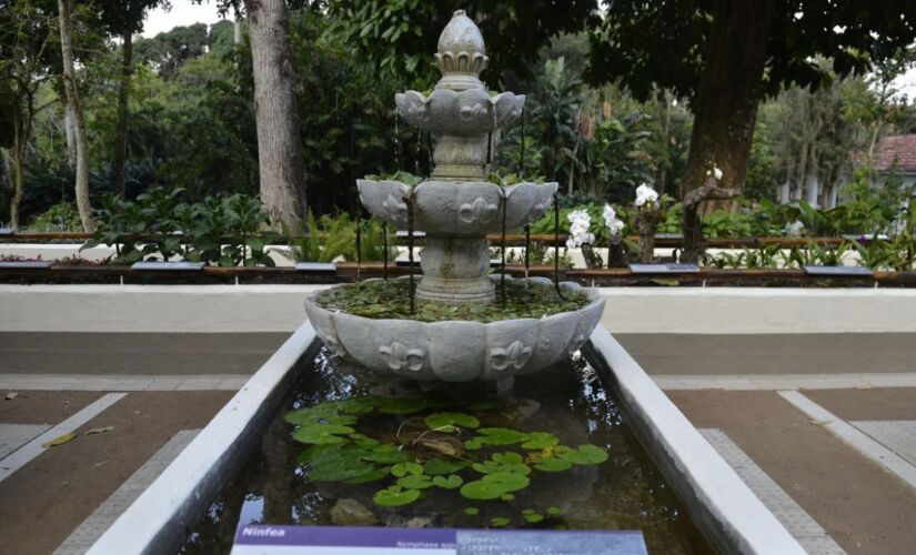 Jardim Botânico do Rio