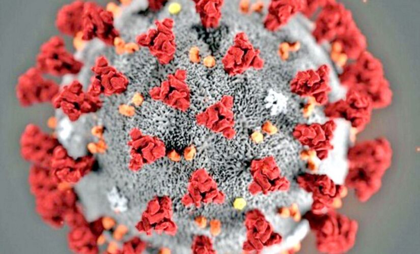 coronavirus