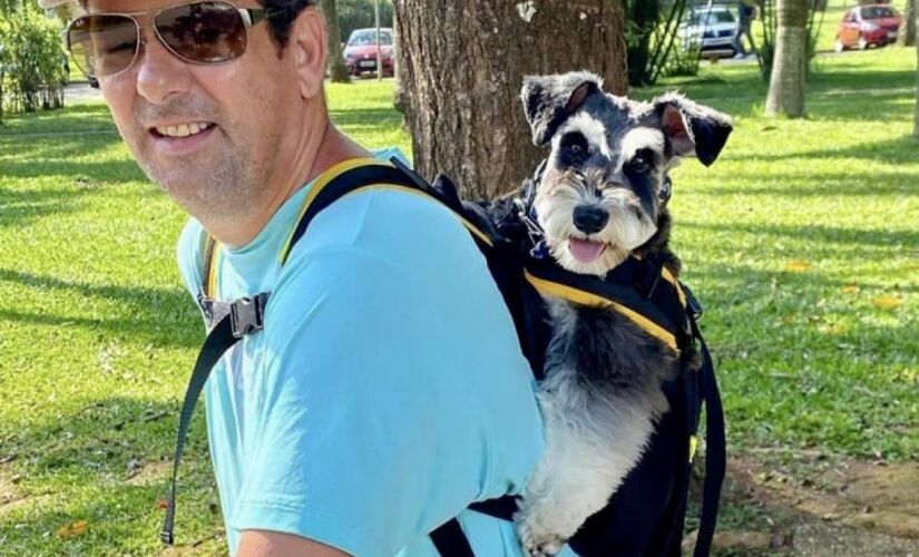 Companhia do pet nos passeios 