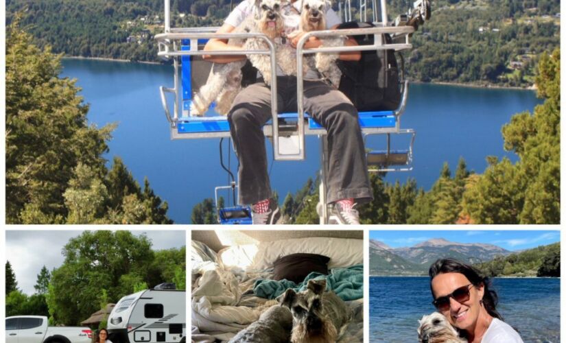 Paula Ribeiro e seus dois Schnauzers em uma viagem pela Patagônia