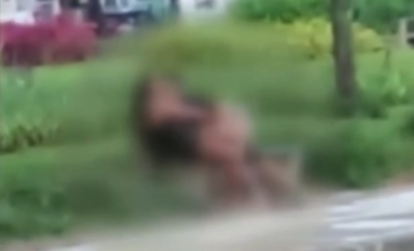 O vídeo mostra o casal em ato obsceno na orla de Santos-SP