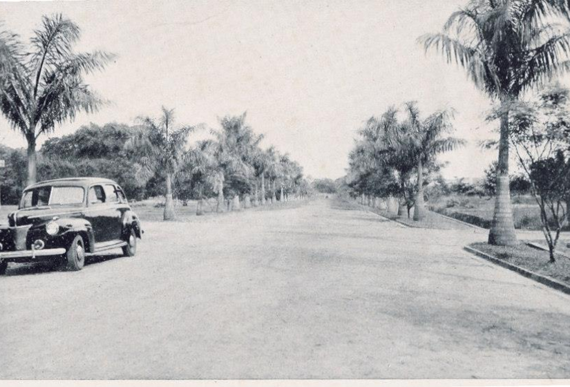 Jardim Botânico de São Paulo em 1943 - Foto:  Acervo do Instituto de Botânica