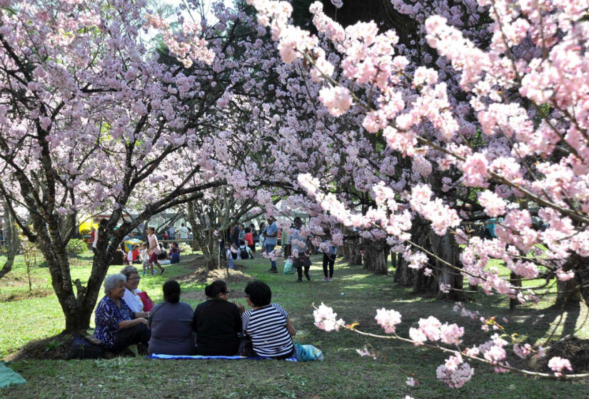 Parque do Carmo  - Foto: Aglécio Dias/Folhapress