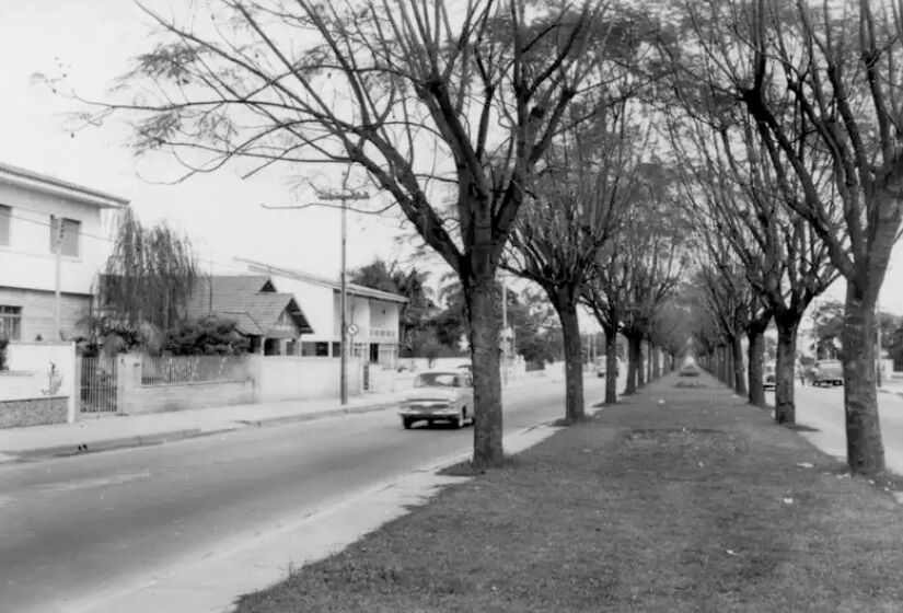 Av. Rebouças no Jardim América - Foto: Reprodução