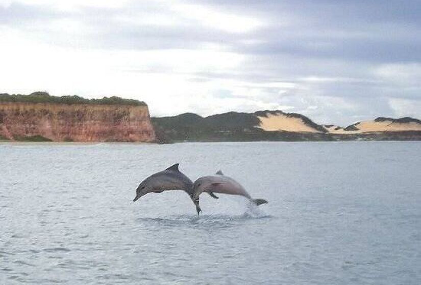 9. Baía dos Golfinhos - Praia da Pipa, Brasil