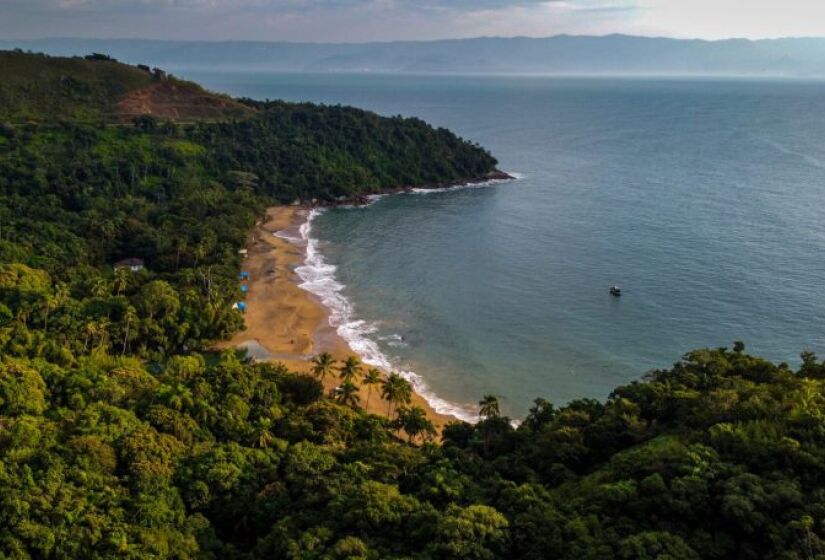 Ilhabela terá seis roteiros gratuitos temáticos, envolvendo observação de aves e trilhas. / Foto: Divulgação