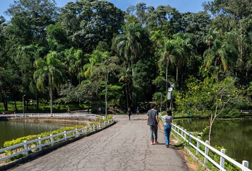 Horto Florestal - Foto: Divulgação