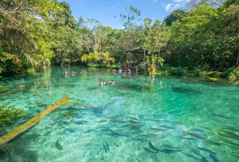 A flutuação na rio Nascente Azul é uma das experiências mais incríveis em Bonito (MS)/Divulgação/Nascente Azul