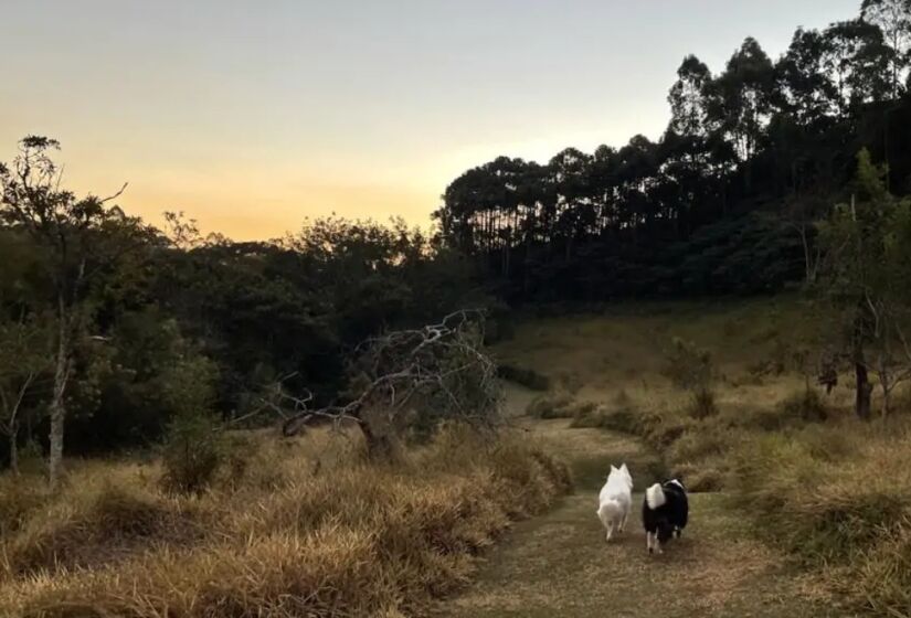 A Gaia Viva organiza trilhas guiadas, perfeitas para uma caminhada com seu cão. Foto: Divulgação/Pousada Gaia. 