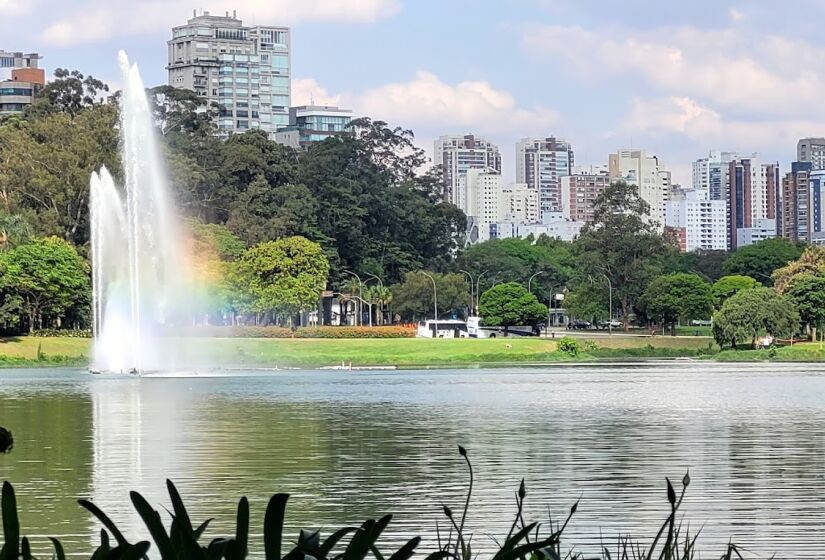 Uma curiosidade do parque já começa em como ele é chamado. O nome Ibirapuera significa "árvore apodrecida", em tupi-guarani.Atualmente abrigo de belos jardins, áreas de esporte e de museus, o local era, em suas origens, uma área alagadiça, com solo de várzea e, por isso, foi assim nomeada pelos indígenas que habitavam a região - (Victor Mariano Fidelis Silva/Google Reviews)