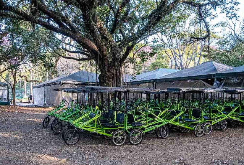 Parque Ibirapuera completa 70 anos
Foto: Rodrigo Pivas/Gazeta de São Paulo