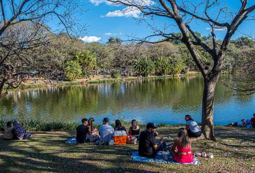 Parque Ibirapuera completa 70 anos
Foto: Rodrigo Pivas/Gazeta de São Paulo