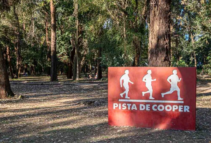 Parque Ibirapuera completa 70 anos
Foto: Rodrigo Pivas/Gazeta de São Paulo