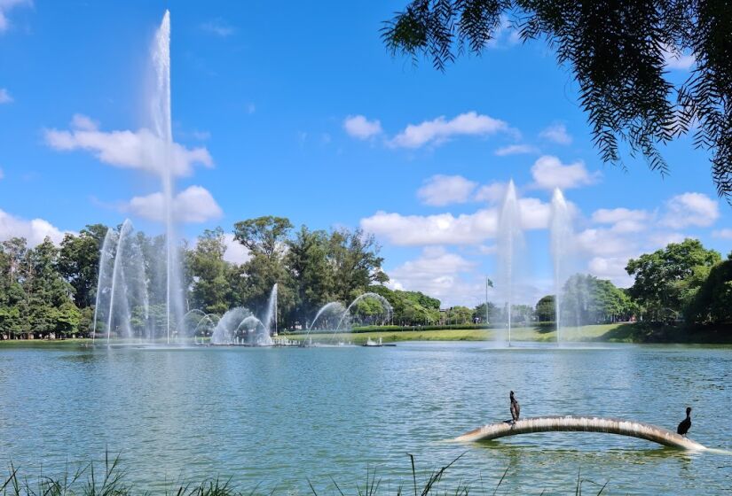 O Ibirapuera é líder disparado de visitação, ultrapassando outros nomes fortes como o Parque da Independência e o Villa-Lobos, por exemplo. O local chega a receber 150 mil pessoas por fim de semana. O parque ultrapassou o número de 12 milhões de visitas nos anos de 2022 e 2023 - (Luís Felipe Vasconcellos Firmino)