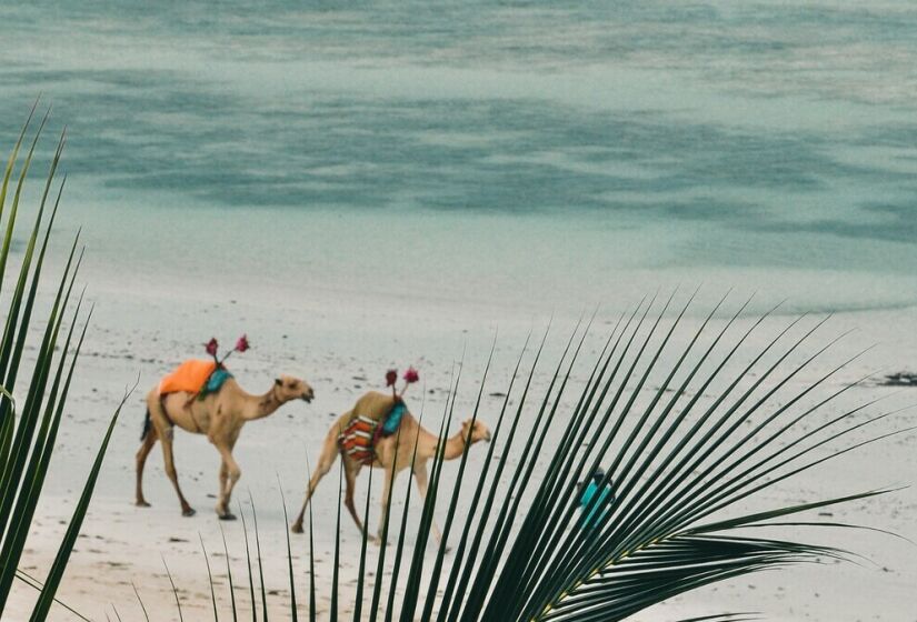 Segunda maior cidade do Quênia e um importante porto no Oceano Índico, Mombaça está na terceira posição mundial. A cidade é conhecida por suas praias deslumbrantes, importância cultural e história. Foto de Harshil Gudka na Unsplash.