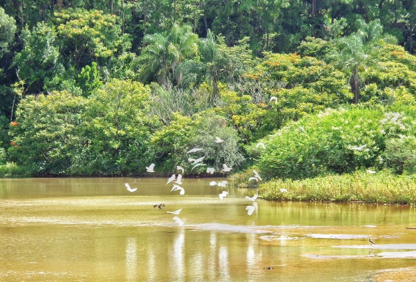 O nível de poluição do local é mais baixo que a média nacional. A temperatura média anual é de 19,6 &ordm;C, o que segundo os moradores e visitantes, contribui para tornar o local muito agradável - (Cristiano Souza/Google Reviews)