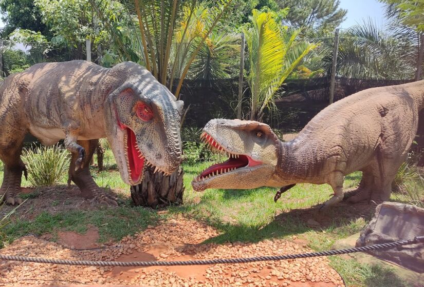 O Vale dos Dinossauros Olímpia é um parque temático localizado em uma extensa área de 10 mil m&#xB2;. O destaque fica para a apresentação de 38 dinossauros animatrônicos, incluindo o famoso Tiranossauro Rex e o colossal Brachiosaurus - (Iasmim Kellen/Google Reviews)